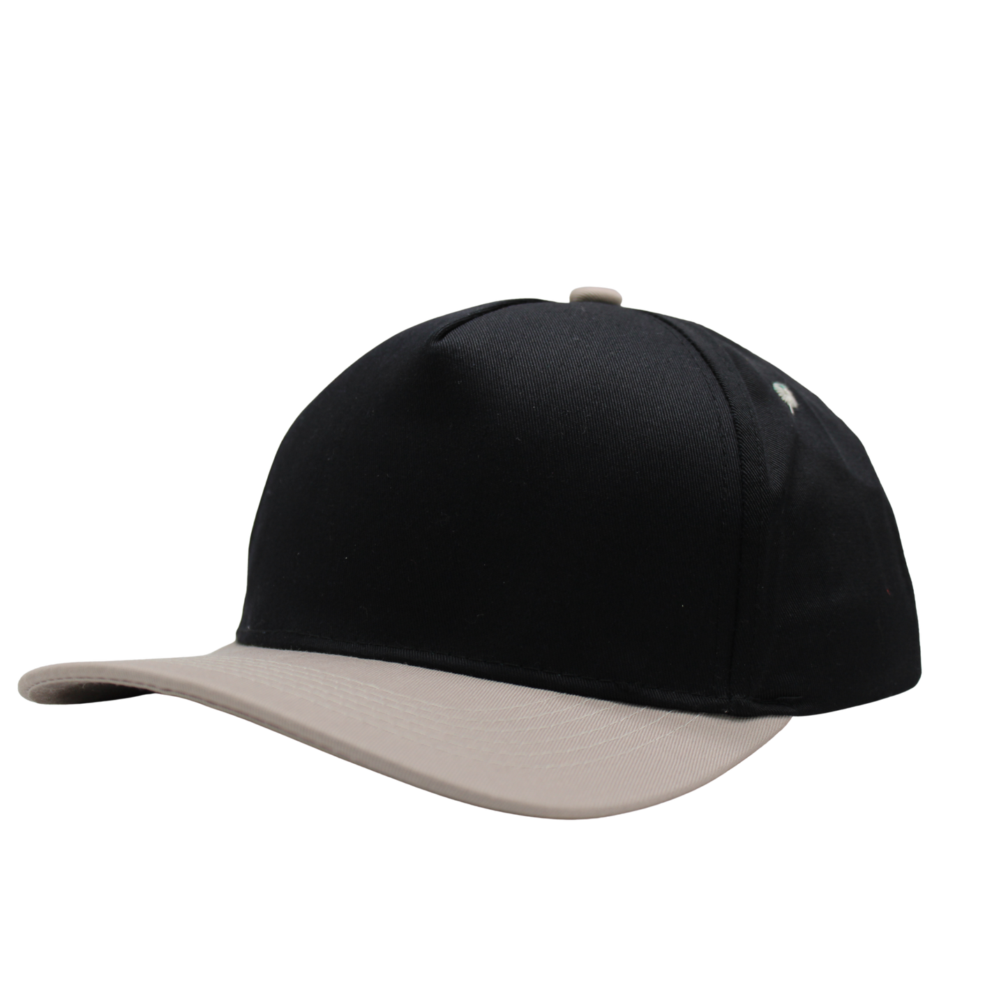 Canvas Cap