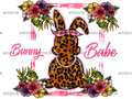 Bunny_Babe_Frame.png