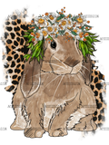 Bunny_And_Leopard_Flowers.png