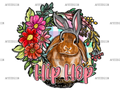 Hip_Hop_Bunny.png
