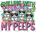 Chilling_with_my_peeps.png