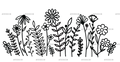 Wild_flowers-6.png