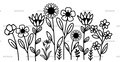 Wild_flowers-11.png