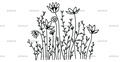 Wild_flowers-18.png