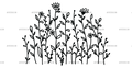 Wild_flowers-19.png