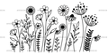 Wild_flowers-23.png