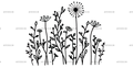 Wild_flowers-22.png