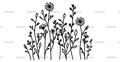 Wild_flowers-26.png