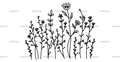 Wild_flowers-24.png