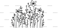 Wild_flowers-28.png
