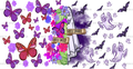 Evvil_And_Good.png