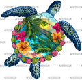 Summer_Turtle.png