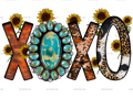 Xoxo_Turquoise.png