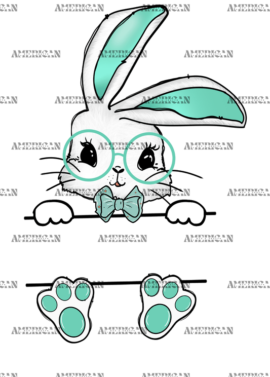 Easter Bunny Name Frame DTF Transfer