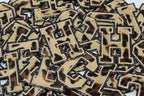 Leopard on Glitter Black 2.5" Chenille Letter Varsity