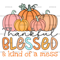 Thankful Blessed Kind Of A Mess-2 DTF Transfer