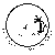 Adult (12" Wide)