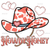 Howdy Honey Orange Cap DTF Transfer