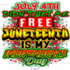 July 4th Didnt Set Me Free DTF Transfer