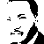 Adult (12" Wide)