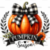 Pumpkin Season-1 DTF Transfer